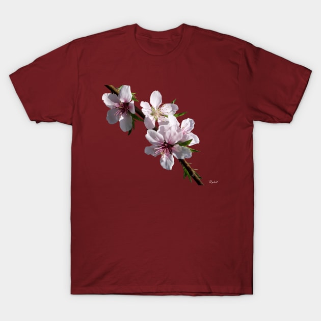 Peach Blossoms T-Shirt by DylanArtNPhoto